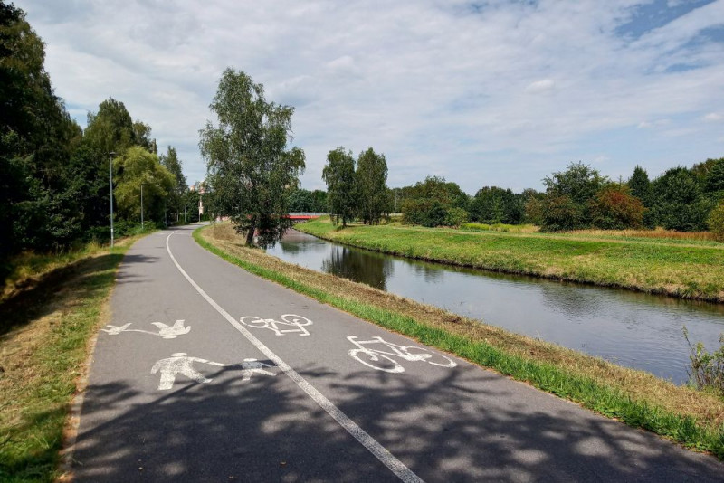 Rybnik pracuje nad ekologiczną przyszłością w ramach ogólnopolskiego projektu